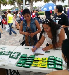 fiesta de la flor festival celebration