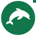 dolphins-icon