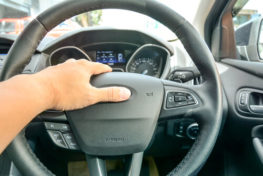 Truck Driver steering wheel