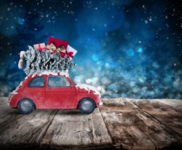 Christmas Holiday Safety Tips