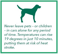 Never leave pets – or children – in cars alone for any period of time. Temperatures can rise 19 degrees in just 10 minutes, putting them at risk of heat stroke.