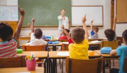students raising their hands in school classroom