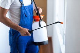 man holding roundup pesticide product