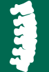 illustration of a spinal cord