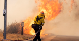 Firefighter battling with brushfires