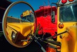 bus driver looking at blindspots