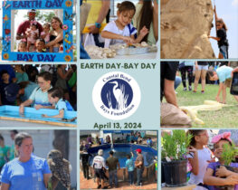 Earth Day Bay Day